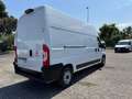 Fiat Ducato 35 2.2 Mjt 160CV L3 H3 FURGONE Bianco - thumbnail 11