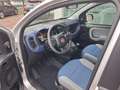 Fiat Panda Panda III 2012 1.2 Lounge 69cv E6 Argento - thumbnail 9