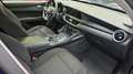 Alfa Romeo Stelvio 2.2 Turbodiesel 210 CV AT8 Q4 Business Blu/Azzurro - thumbnail 10