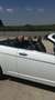 Lancia Flavia Flavia 2012 2.4L 170cv Weiß - thumbnail 11