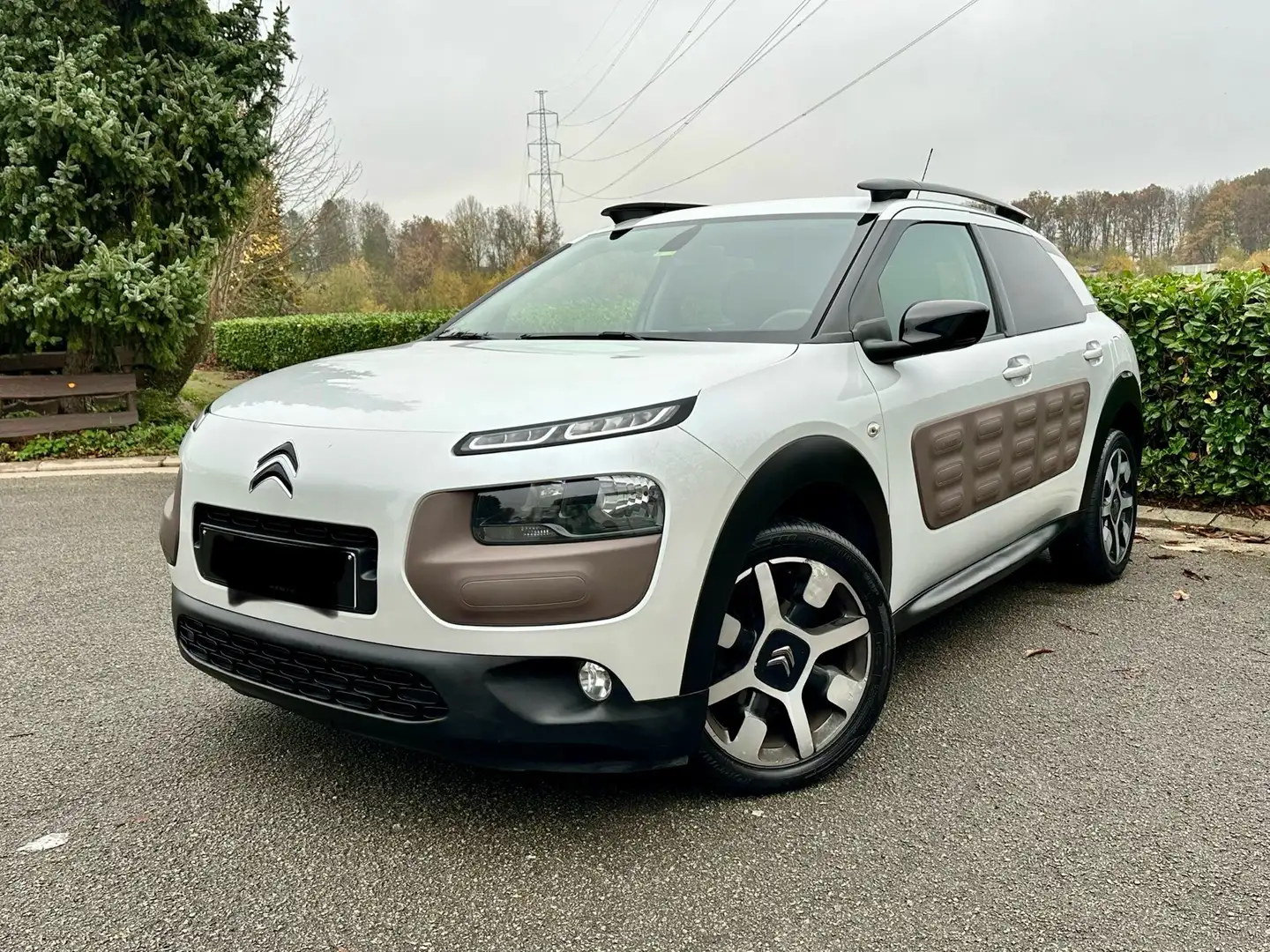 Citroen C4 Cactus - 1