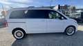 Mercedes-Benz V 250 AVANTGARDE *19'' Alu * NAVI* AHK*7Sitzer!! Weiß - thumbnail 4