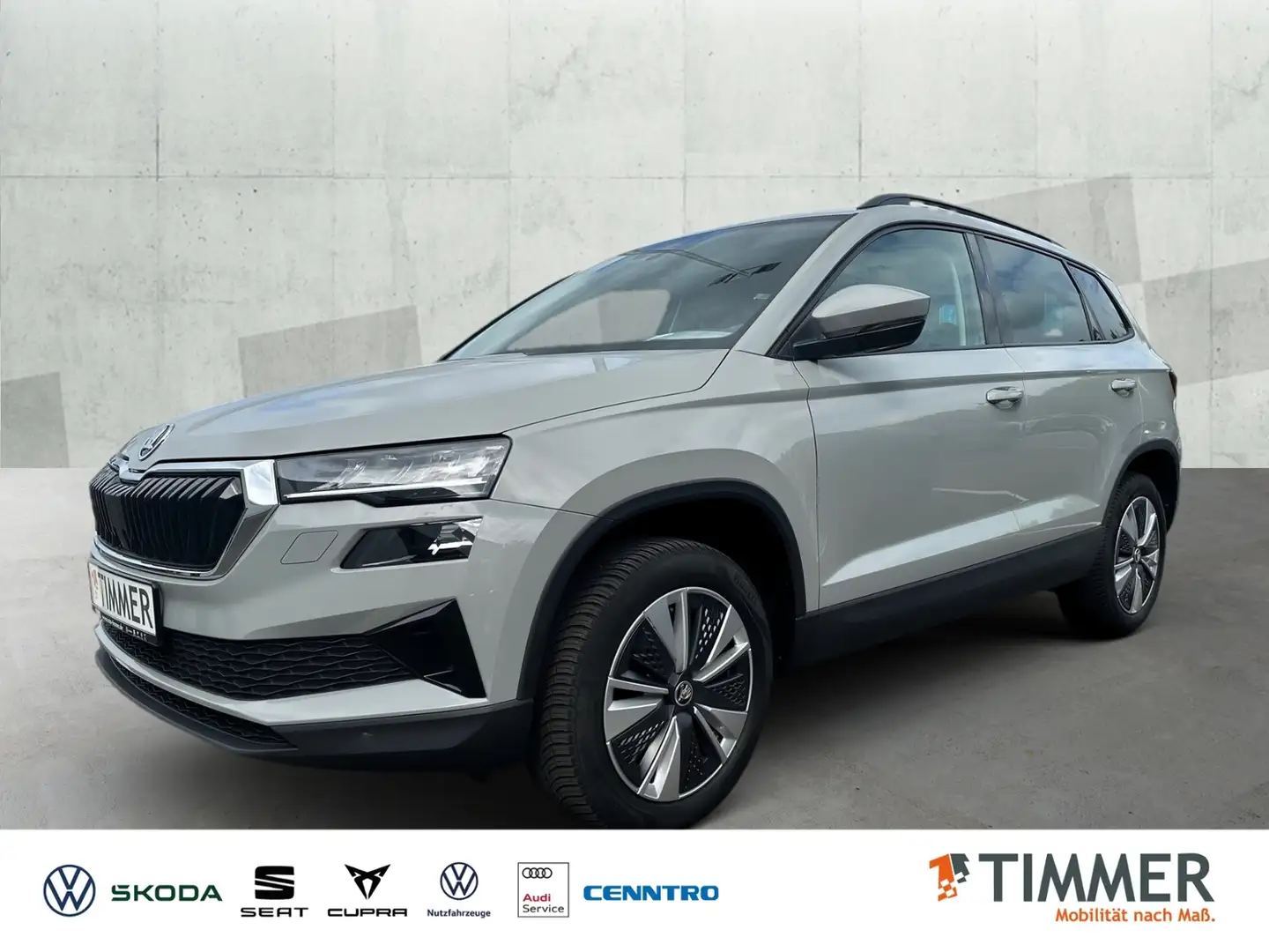 Skoda Karoq 2.0 TDI *AHK *LED *VIRTUAL *17" *GRA *PDC * Grau - 1