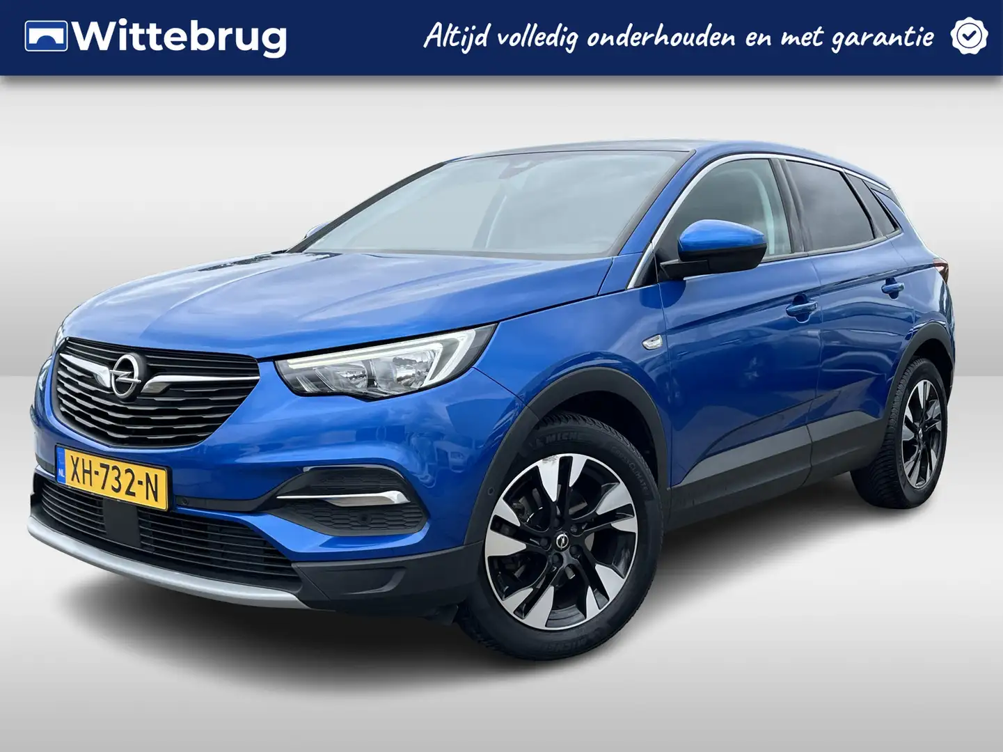 Opel Grandland X 1.2 Turbo 130pk Business Executive | Panoramadak | Blauw - 1