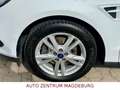 Ford S-Max S-MAX Titanium Klimaaut,LED,Nav,Autom,AHK White - thumbnail 10