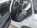 BMW X1 X1 xDrive25d  Österreich Paket Aut. Österreich Paket Weiß - thumbnail 6