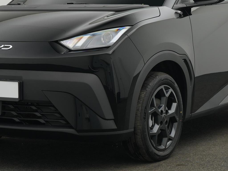 BYD Dolphin Boost — photo 10