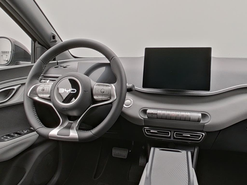 BYD Dolphin Boost — photo 13