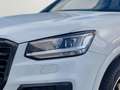 Audi Q2 35 TFSI s-line KomfortPaket LED Privacy Blanc - thumbnail 8