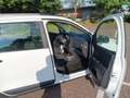 Dacia Lodgy Lodgy dCi 110 Stepway Weiß - thumbnail 14