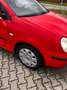 Volkswagen Polo volkswagen polo 1.2 nieuwe apk Rood - thumbnail 11