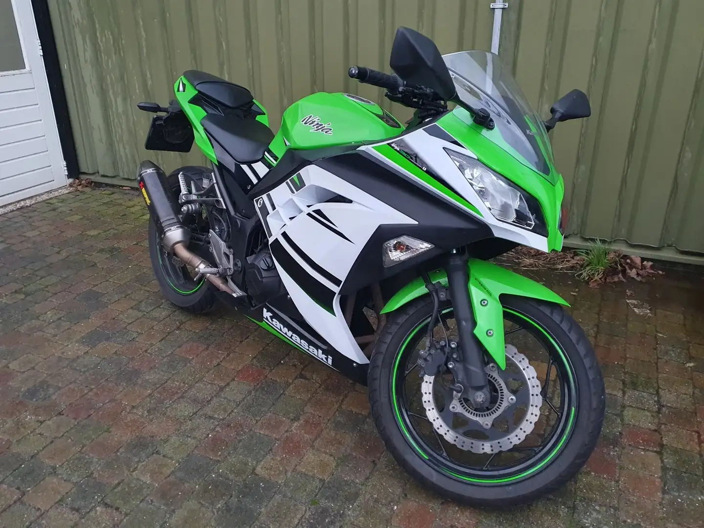 Kawasaki Ninja 300 Zöld - 1