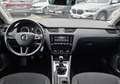 Skoda Octavia Superbe TSI 116cv 1°main 2020 Grau - thumbnail 5