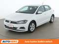Volkswagen Polo 1.0 TSI Comfortline Weiß - thumbnail 1