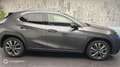 Lexus UX 250h 250h F SPORT Design 2WD - thumbnail 8