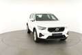 Volvo XC40 Core 2WD B3 Mild-Hybrid Core, Navi, LED, Winter... Weiß - thumbnail 25