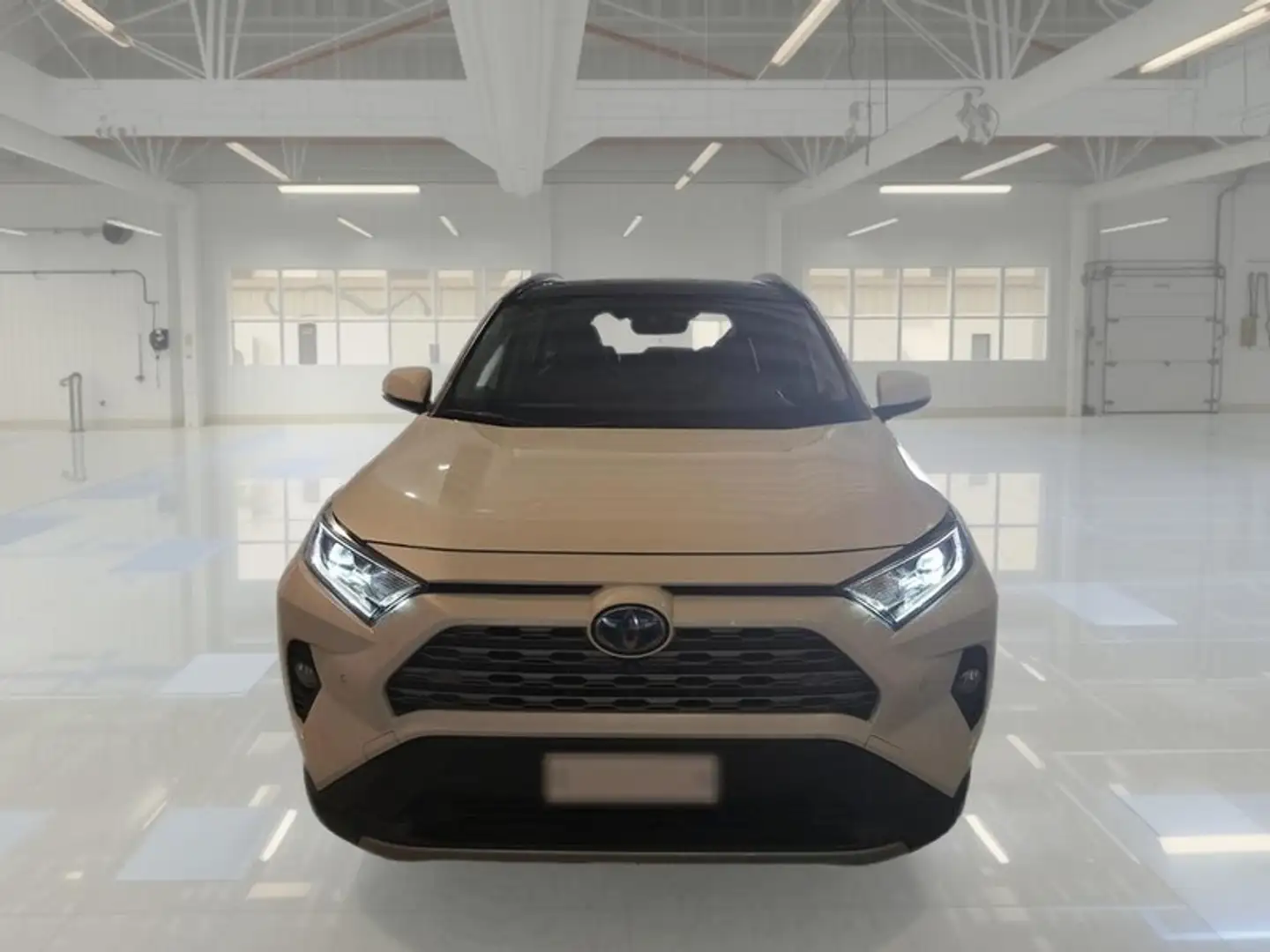 Toyota RAV 4 2.5 HV 178cv E-CVT Lounge 2WD - 2