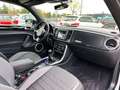 Volkswagen Beetle Cabriolet R-Line Blanc - thumbnail 14