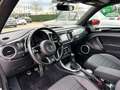 Volkswagen Beetle Cabriolet R-Line Blanc - thumbnail 11