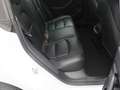 Tesla Model 3 STANDARD+ RWD ASSIST/PANO/MEDIA/TOUCH/AUTOPILOT Bianco - thumbnail 14