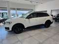 Audi Q7 3.0 TDI quattro S Line+ PANO/AHK/LED/MMI/TOP! Bianco - thumbnail 3