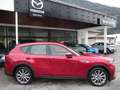 Mazda CX-60 2.5L e-SKYACTIV PHEV AWD EXCLUSIVE DRI Aut. Červená - thumbnail 5