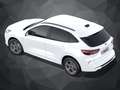 Ford Kuga ST-LINE 2.5 Plug-in | FHEV | LED | NAVI | LMF Weiß - thumbnail 9