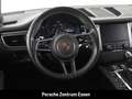 Porsche Macan GTS / Panorama Privacy-Verglasung Luftfederung Oro - thumbnail 11