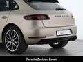 Porsche Macan GTS / Panorama Privacy-Verglasung Luftfederung Oro - thumbnail 8