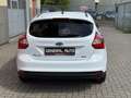 Ford Focus 1.0 EcoBoost Titanium, nieuwe DistributieRiem - thumbnail 5