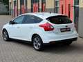 Ford Focus 1.0 EcoBoost Titanium, nieuwe DistributieRiem - thumbnail 7