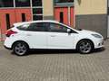 Ford Focus 1.0 EcoBoost Titanium, nieuwe DistributieRiem - thumbnail 3