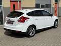 Ford Focus 1.0 EcoBoost Titanium, nieuwe DistributieRiem - thumbnail 4