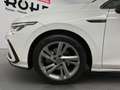 Volkswagen Golf VIII R-Line (ACC.Lenkradheizung) 1.5 eTSI DSG Weiß - thumbnail 16