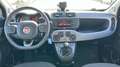 Fiat Panda 1.0 MHEV CITY LIFE 70 5P Negro - thumbnail 10