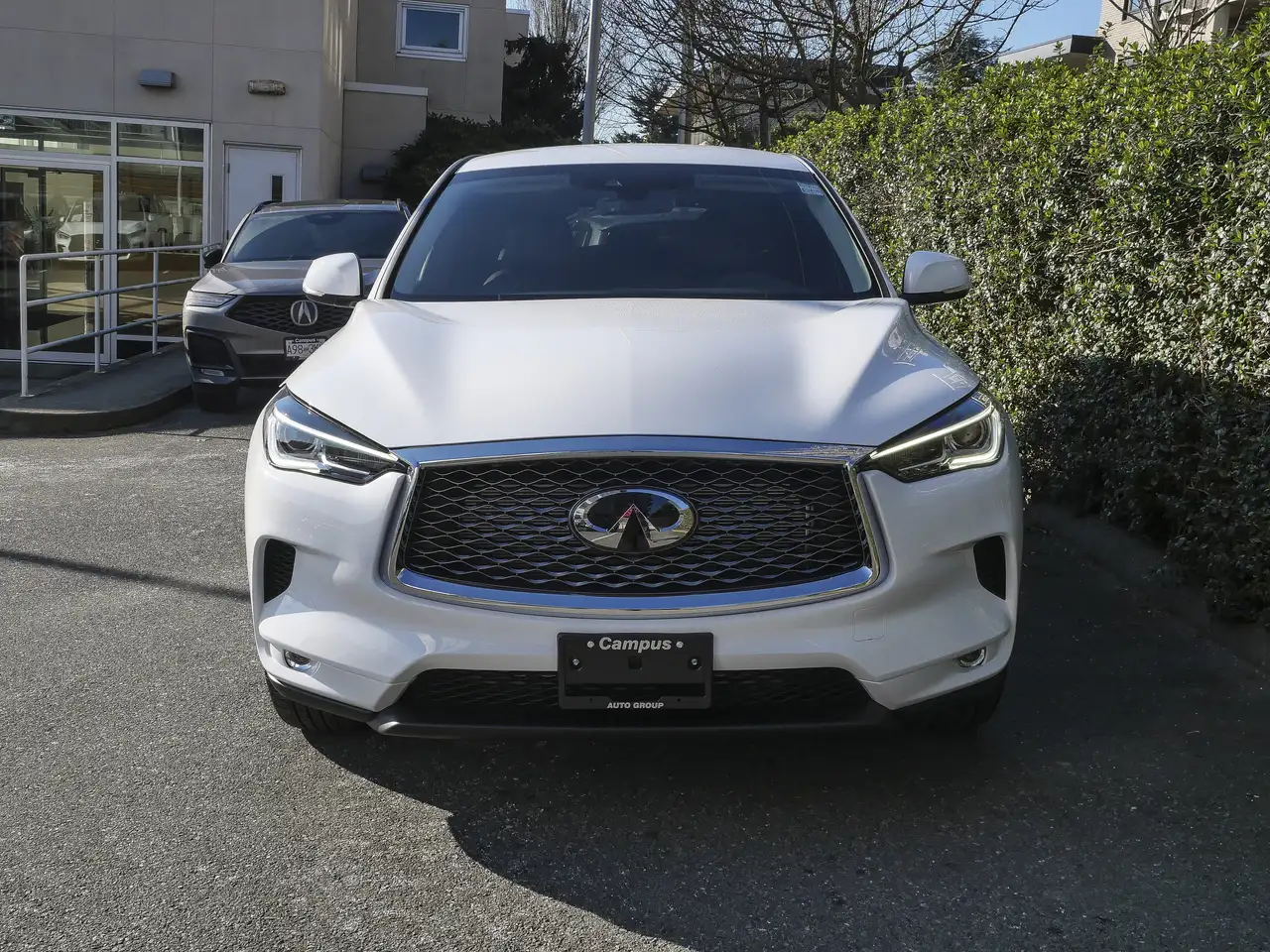 Infiniti QX50 снимка Infiniti QX50