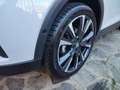 SEAT Arona 1.0 TSI Black Edition Blanc - thumbnail 17