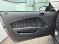 Ford Mustang 3.7 V6/ FK-Gewindefahrw/LPG-Gas/Milotec Gris - thumbnail 23