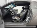 Ford Mustang 3.7 V6/ FK-Gewindefahrw/LPG-Gas/Milotec Gris - thumbnail 21