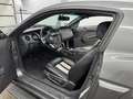 Ford Mustang 3.7 V6/ FK-Gewindefahrw/LPG-Gas/Milotec Gris - thumbnail 22