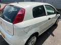 Fiat Punto Punto 1.2 Pop Wit - thumbnail 3