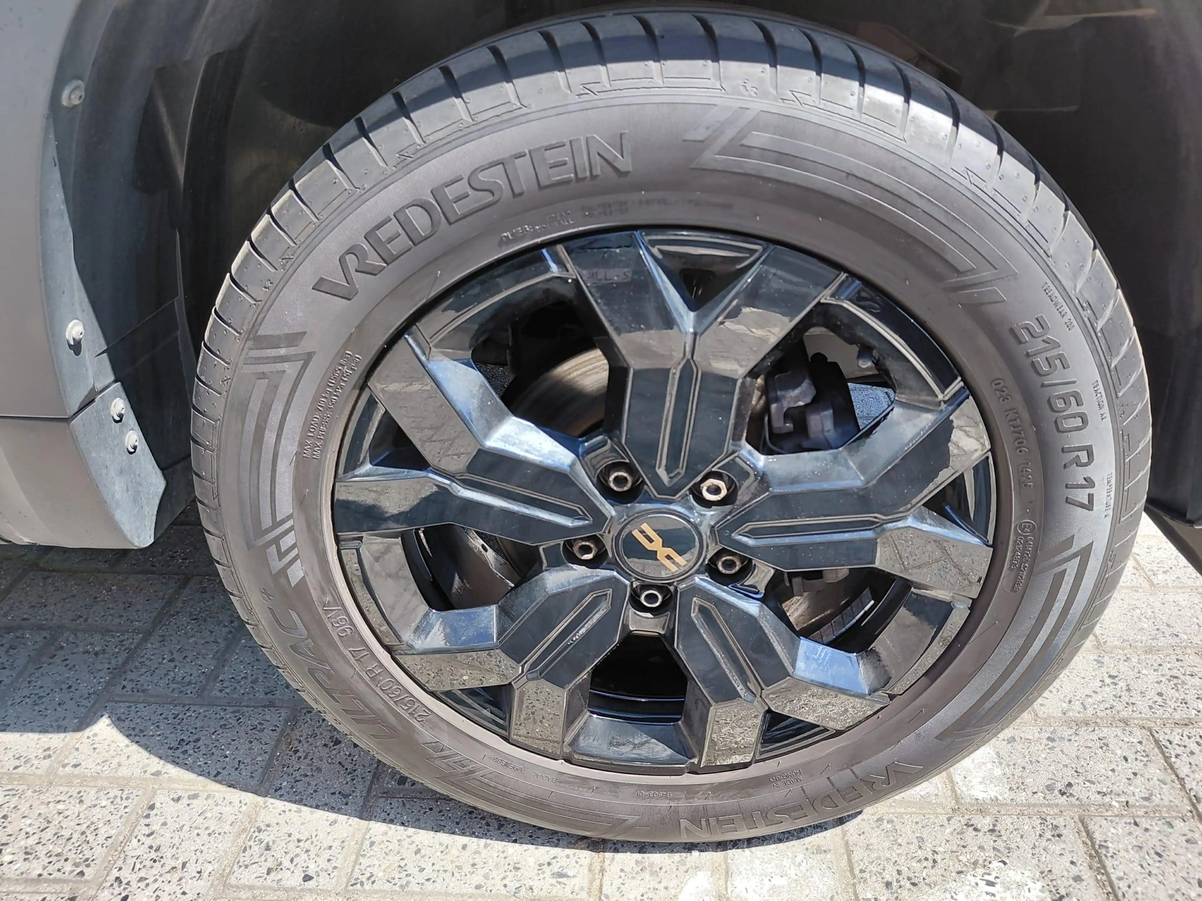Dacia Duster Extreme — photo 15