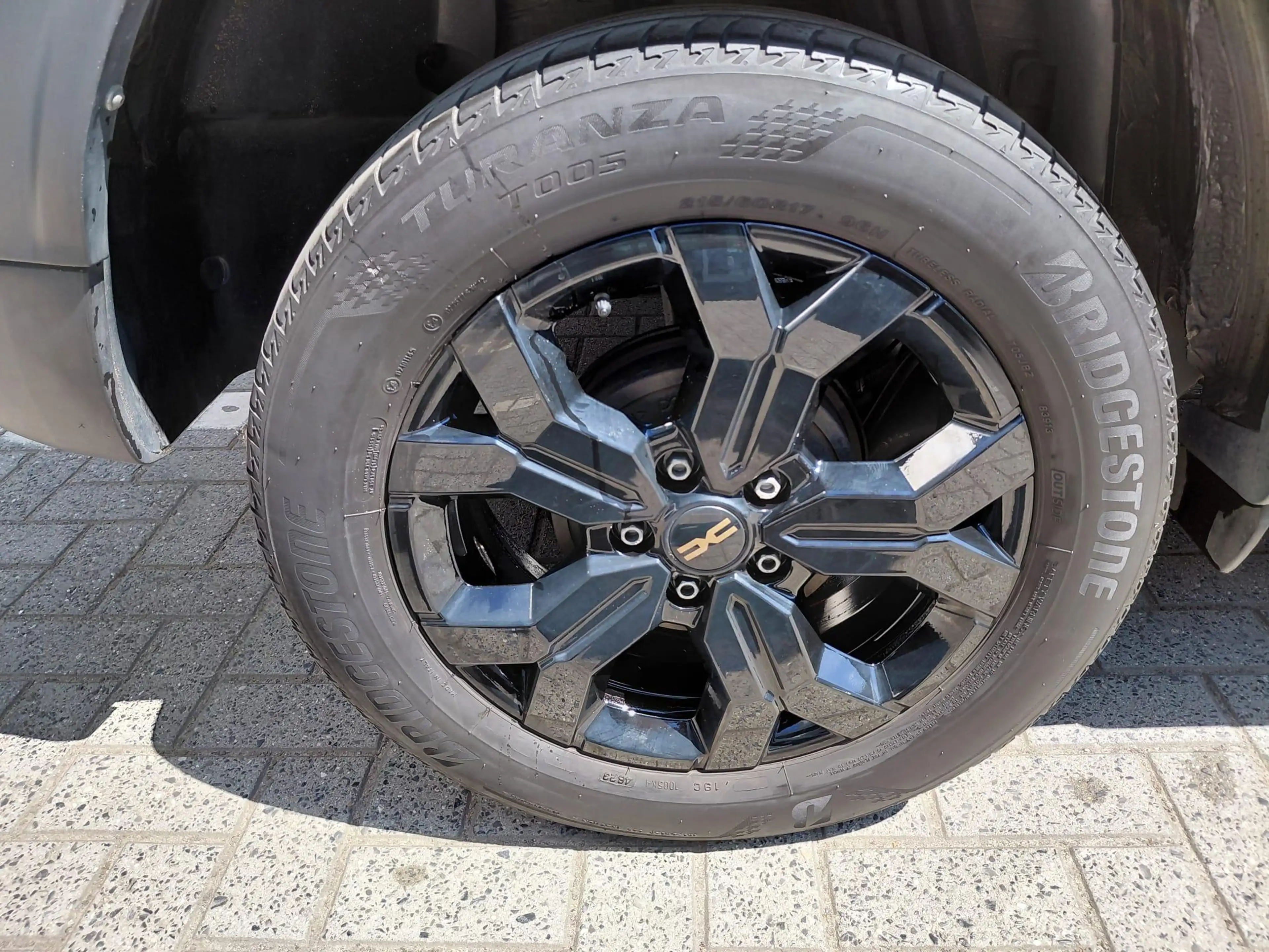 Dacia Duster Extreme — photo 14