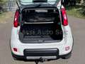 Fiat Panda Panda 1.3 mjt 16v 4x4 s Bianco - thumbnail 14
