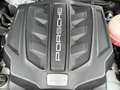 Porsche Macan S 18er Pano Bi-Xenon PDLS DAB+ ... Braun - thumbnail 19