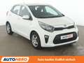 Kia Picanto 1.0 Edition 7 *SHZ*LHZ*KLIMA*ALU*1.HAND* Weiß - thumbnail 8