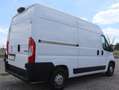 Peugeot Boxer L2H2 Kasten NAVI KAMERA TEL TEMP KLIMA Parksens. Weiß - thumbnail 6