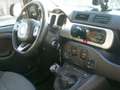 Fiat Panda Panda 0.9 t.air t. Cross 4x4 gpl - PREZZO REALE Rosso - thumbnail 11