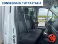 Ford Transit 2.0 TDCi L3 FRCX-20CON GRUPPO FRIGO CARIER RG-2020 Weiß - thumbnail 13