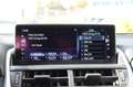 Lexus NX 300 h E-FOUR Executive Panorama 3J Garantie Grau - thumbnail 25